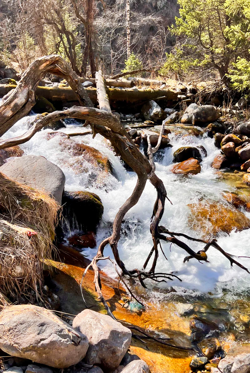 Almaty City & Nature Retreat: Hot Springs & Mountain Views | June 6-9, 2025