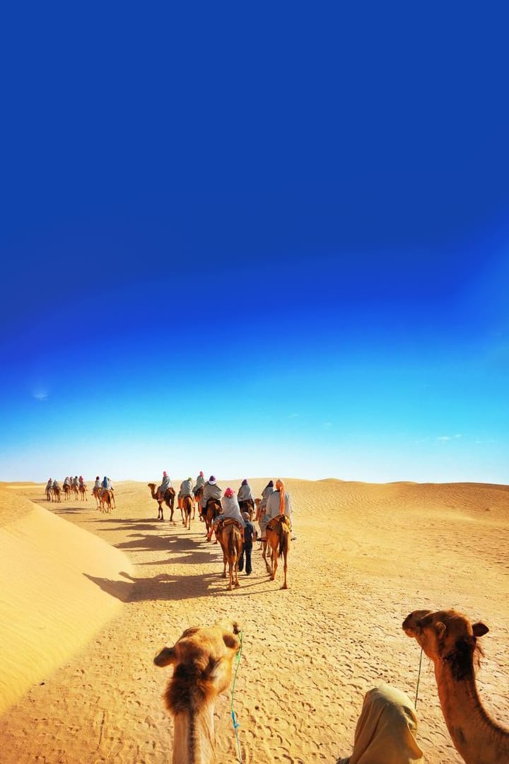 Camel Desert Ride