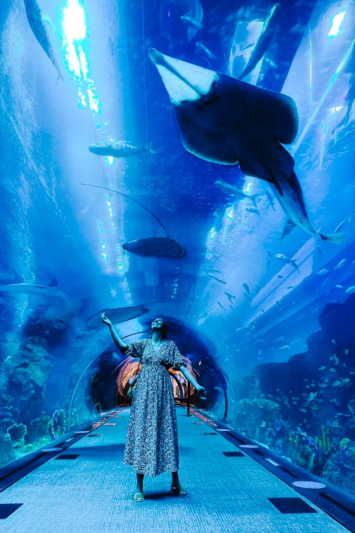 AYA + AYA Universe + Dubai Aquarium & Underwater Zoo Tickets