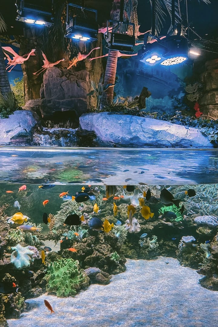 IMG Worlds of Adventure + Dubai Aquarium