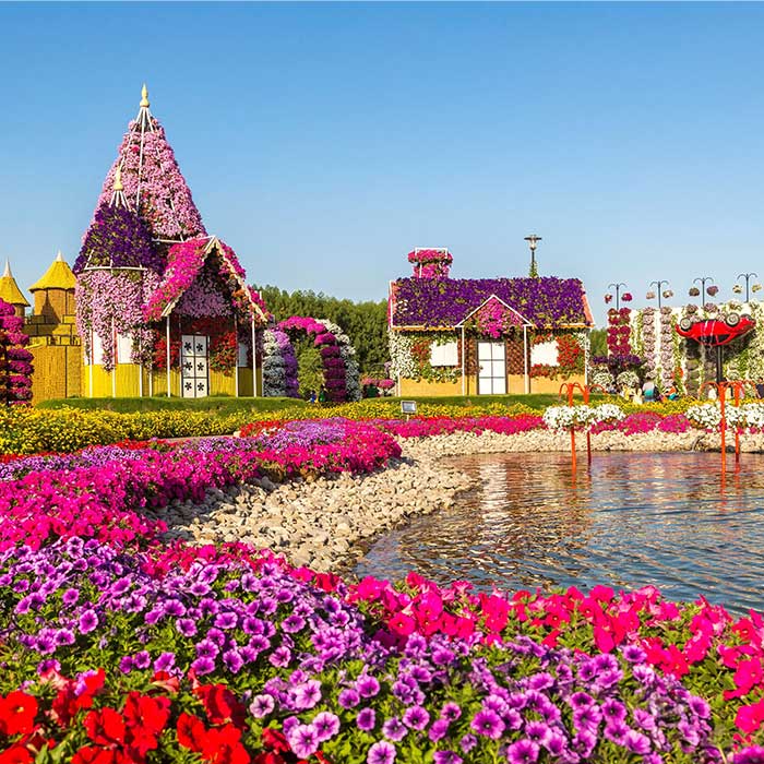 Navigating to the Dubai Miracle Garden