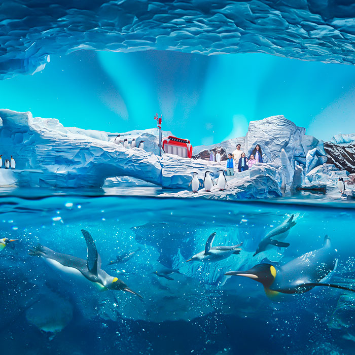 SeaWorld Abu Dhabi