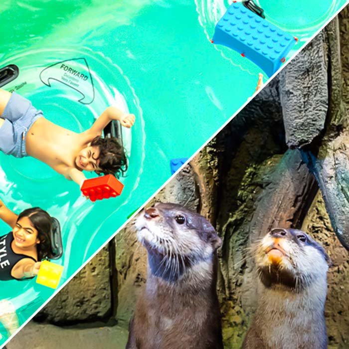 LEGOLAND® Water Park + Dubai Aquarium and Underwater Zoo Tickets