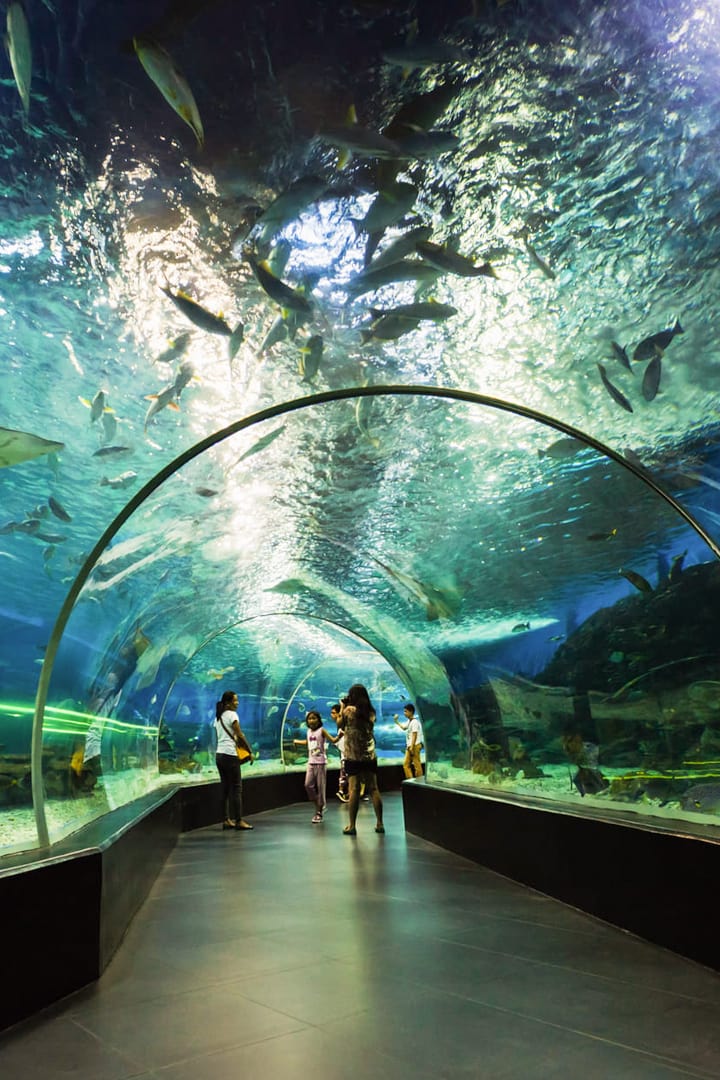 Dubai Aquarium + Sky Views Observatory