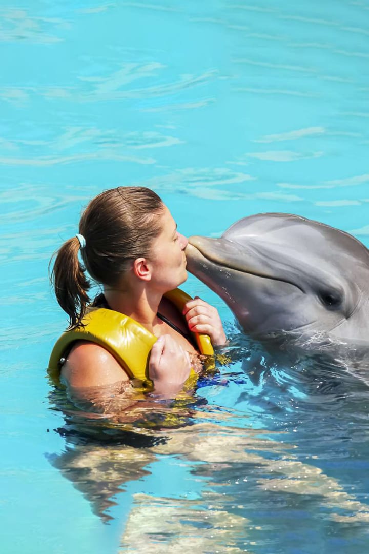 IMG Worlds of Adventure + Dubai Dolphinarium (Dubai Dolphin Show) + 3 hours Yacht to Swim, Tan & Sightseeing