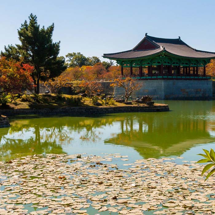 Navigating to the 4N5D Korea K-Drama Tour: Lovely Runner & Queen of Tears Filming Locations | Seoul, Suwon & Ilsan Drama Sites