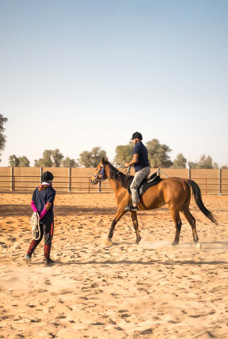 Mleiha Equestrian Adventures