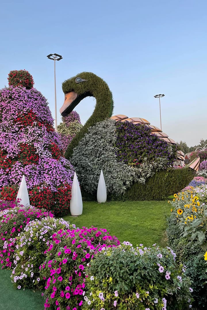 Butterfly Garden Dubai