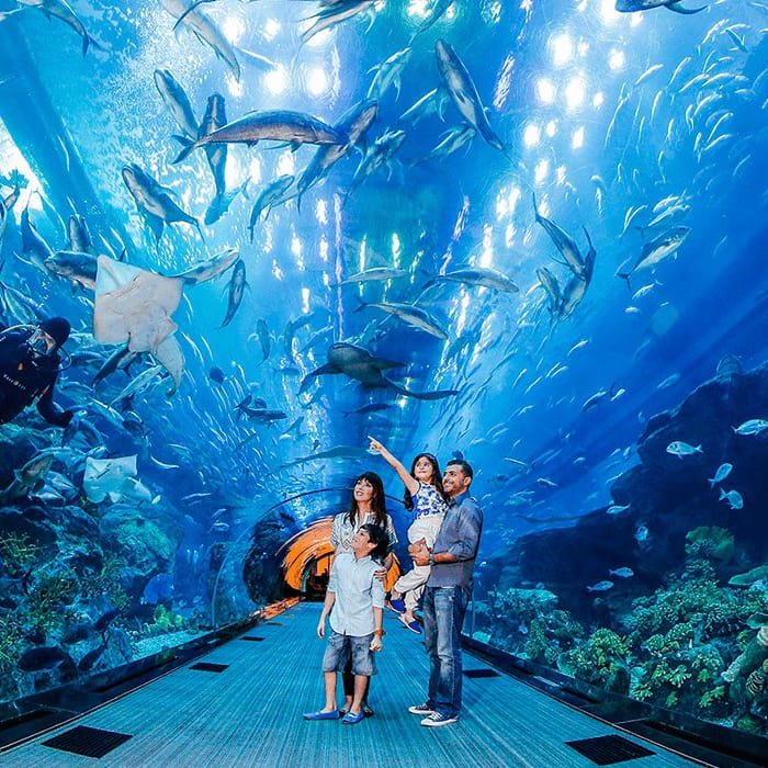 Dubai Aquarium and Underwater Zoo Ticket DoJoin