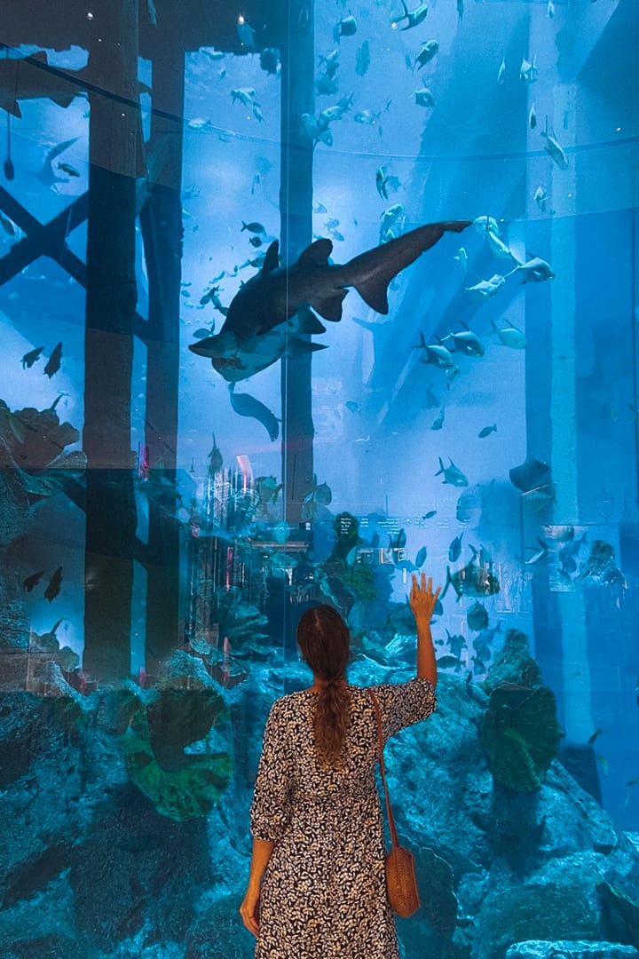 Dubai Aquarium + Sky Views Observatory