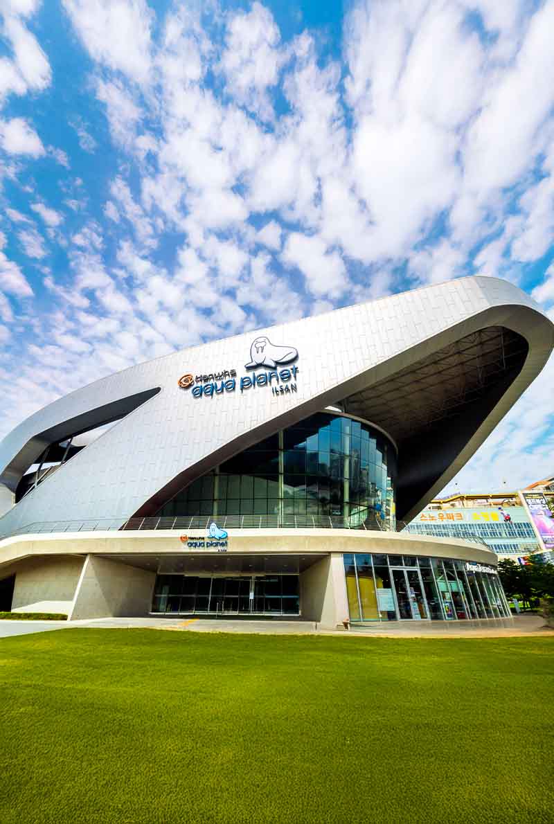 4N5D Korea K-Drama Tour: Lovely Runner & Queen of Tears Filming Locations | Seoul, Suwon & Ilsan Drama Sites