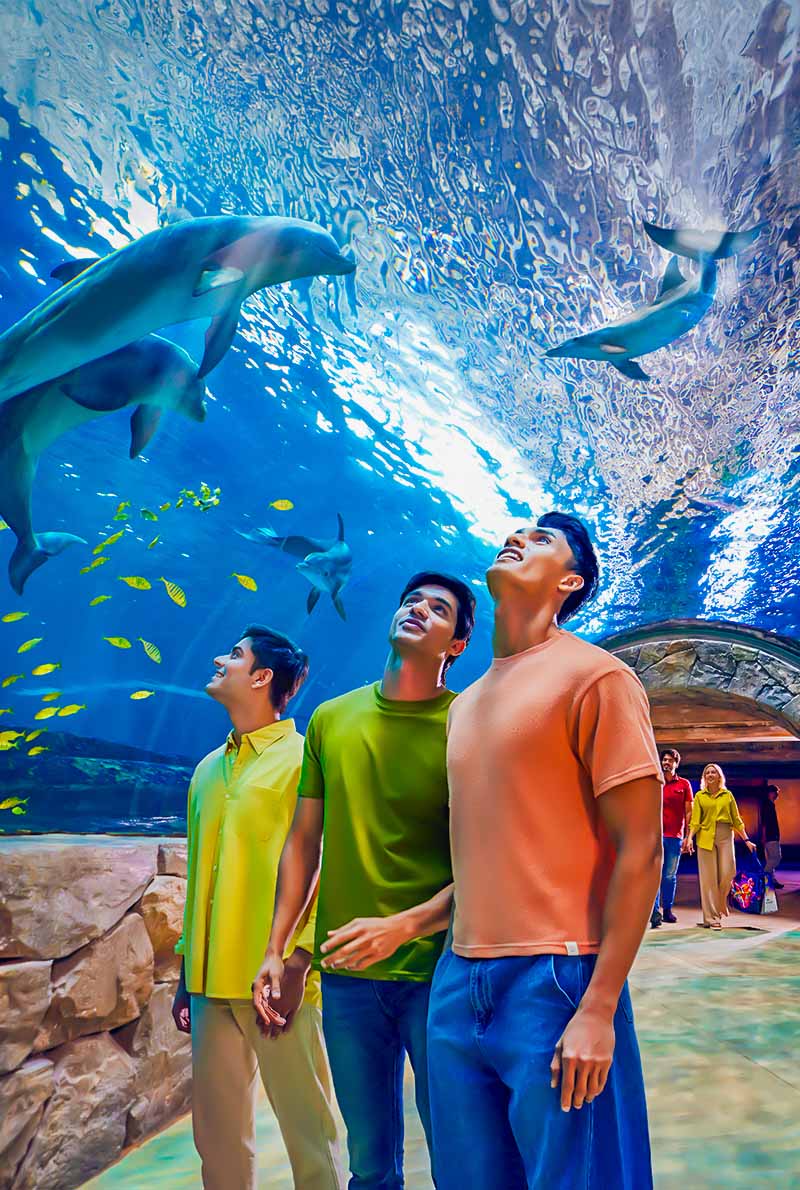 SeaWorld Abu Dhabi