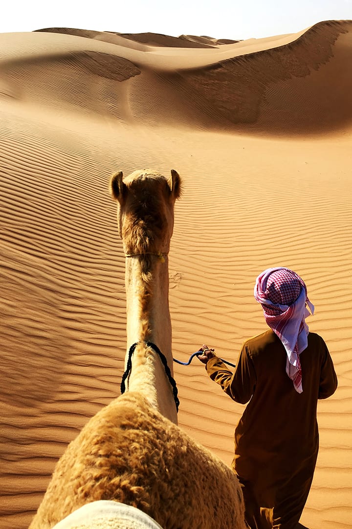 Camel Desert Ride