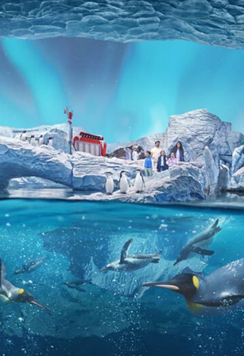 SeaWorld Abu Dhabi