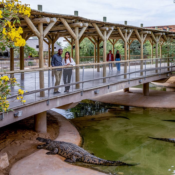 Crocodile Park Dubai