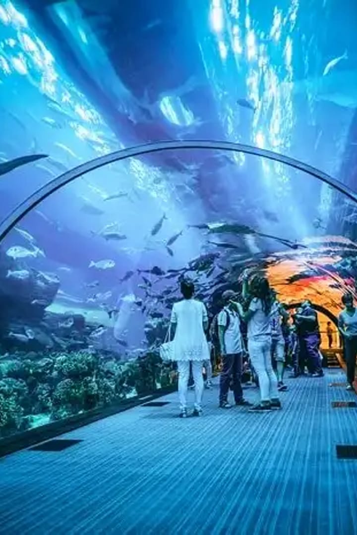 Dubai Aquarium