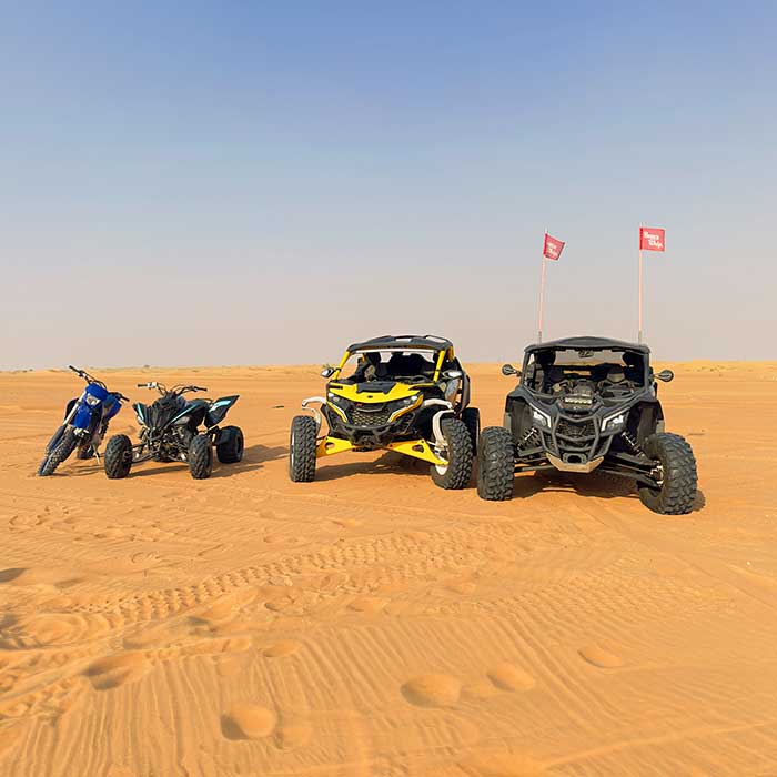 Desert Buggy Safari