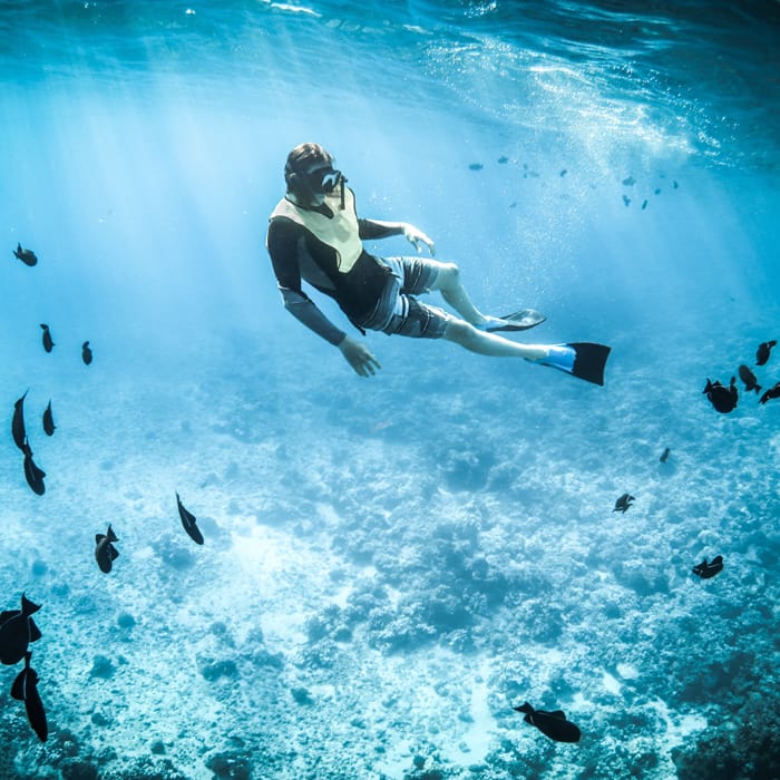 Snorkeling at Fujairah