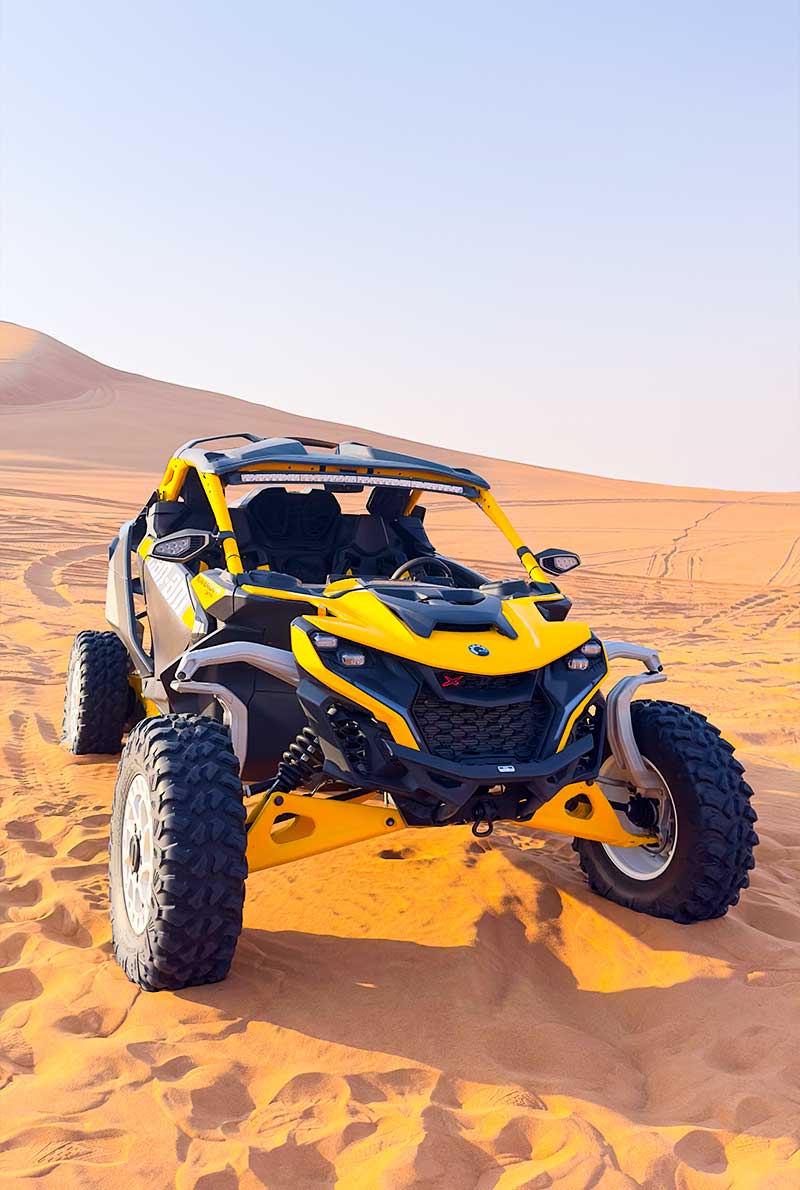 Desert Buggy Safari