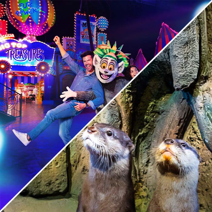 Motiongate™ Dubai + Dubai Aquarium And Underwater Zoo Tickets