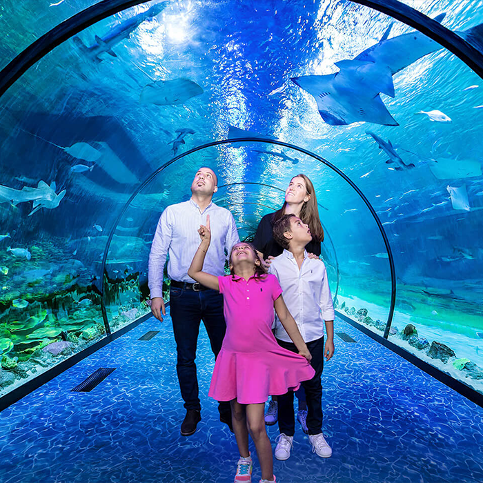 The National Aquarium Abu Dhabi.image