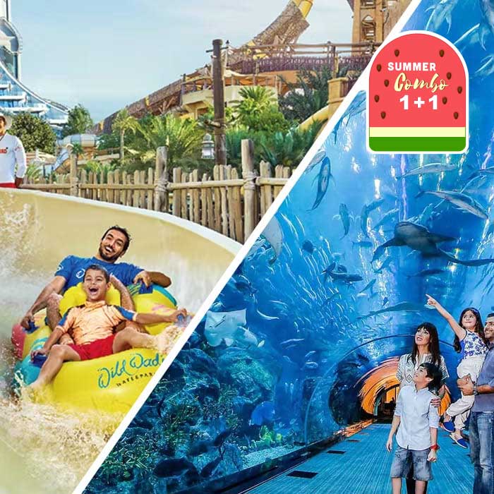 Wild Wadi Park + Dubai Aquarium' Combo