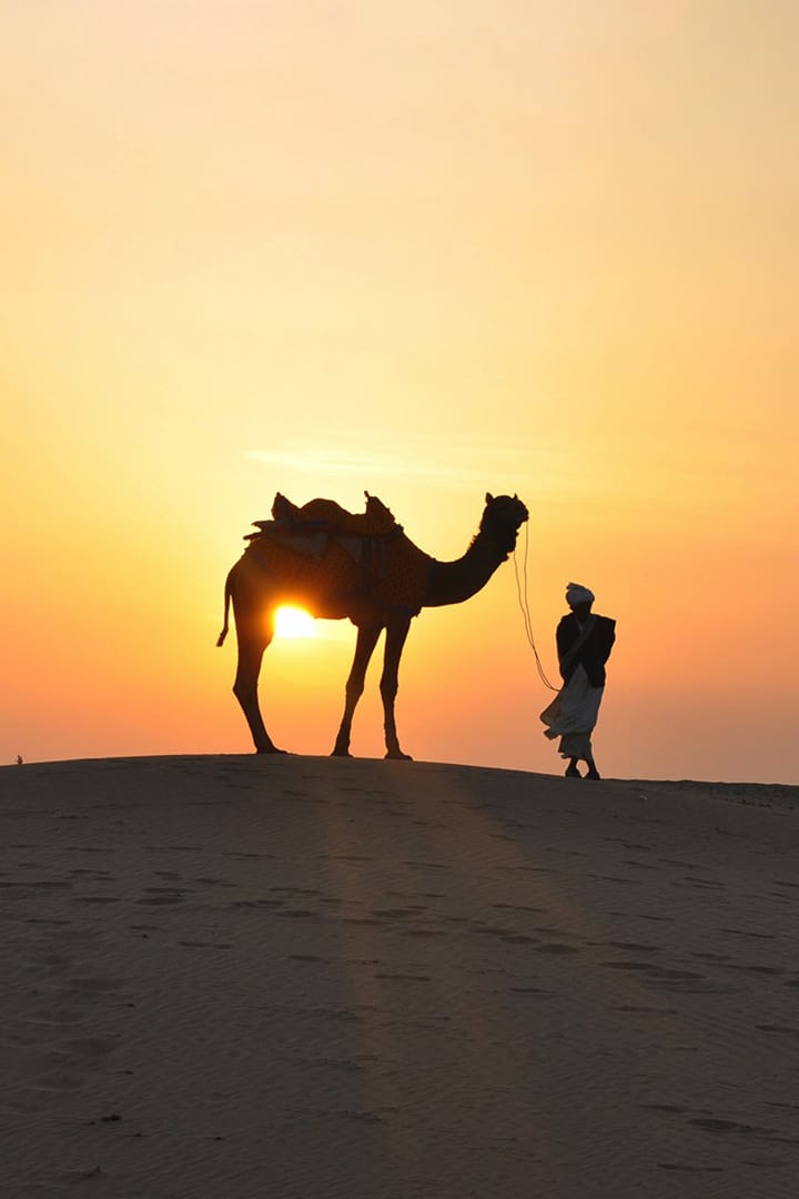 Camel Desert Ride