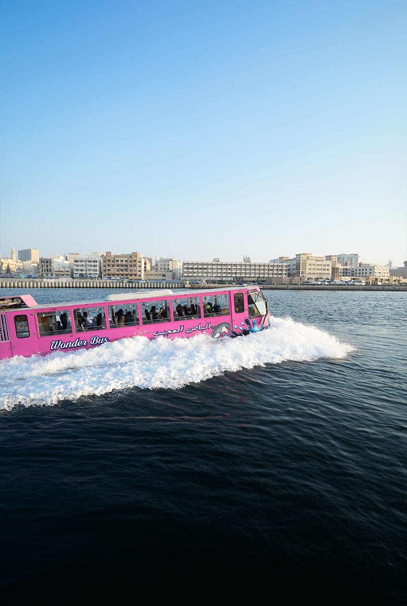 A wonderful bus tour in the water