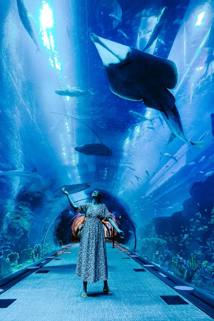 Dubai Aquarium