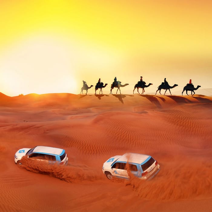 Desert Safari in Abu Dhabi