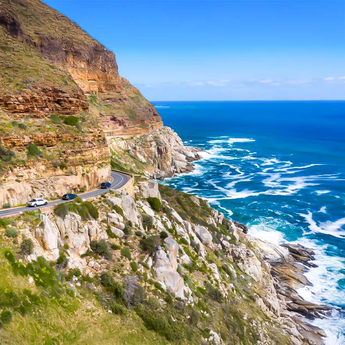التنقل إلى Explore Cape Town – 7 Nights of Culture, Nature & Wildlife