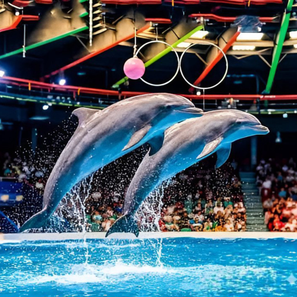 Dubai Dolphinarium