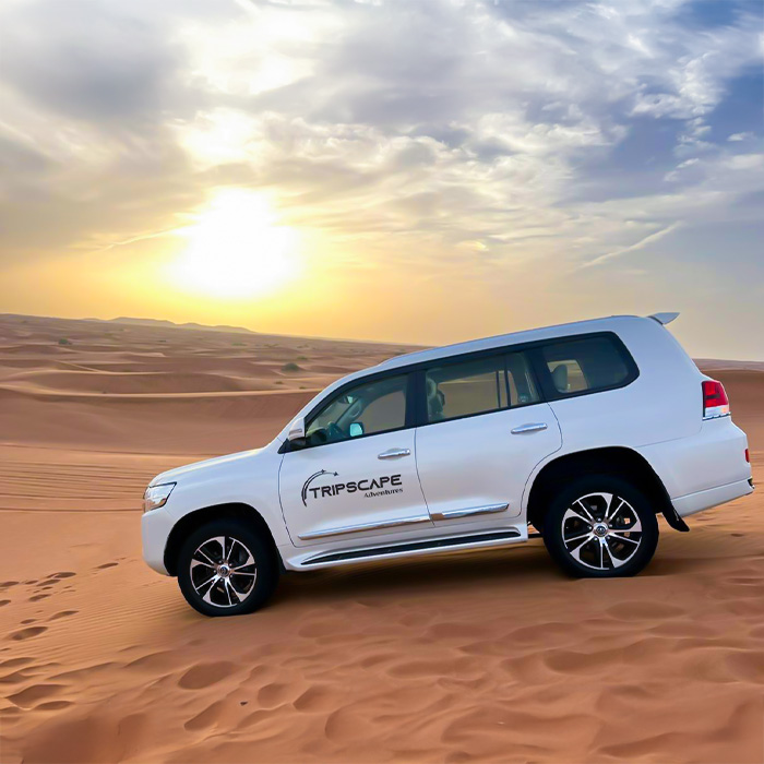 Evening Desert Safari with BBQ Dinner Standard Package