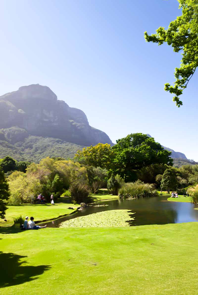 Explore Cape Town – 7 Nights of Culture, Nature & Wildlife