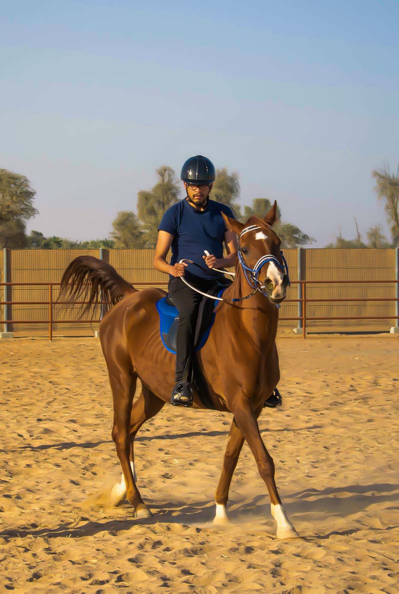 Mleiha Equestrian Adventures
