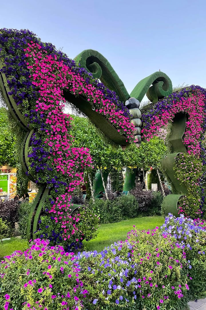 Butterfly Garden Dubai