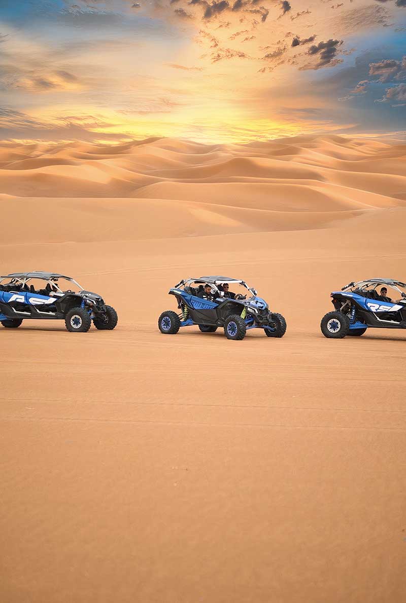 Desert Buggy Safari