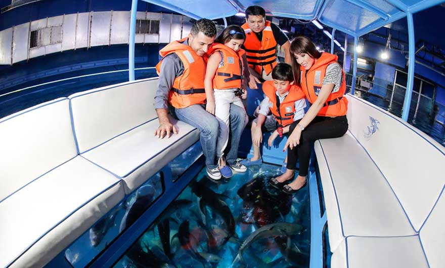 Glass Bottom Boat Tour 