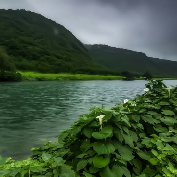 4-Day Salalah Adventure Package from UAE - Natural Wonders & Cultural Heritage Tour with Luxury Accommodation