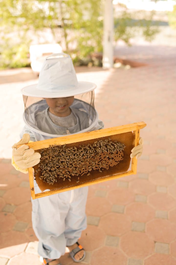 Honey Bee Farm Garden