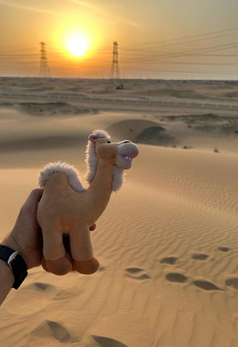 Al Asouf Camel Track Village