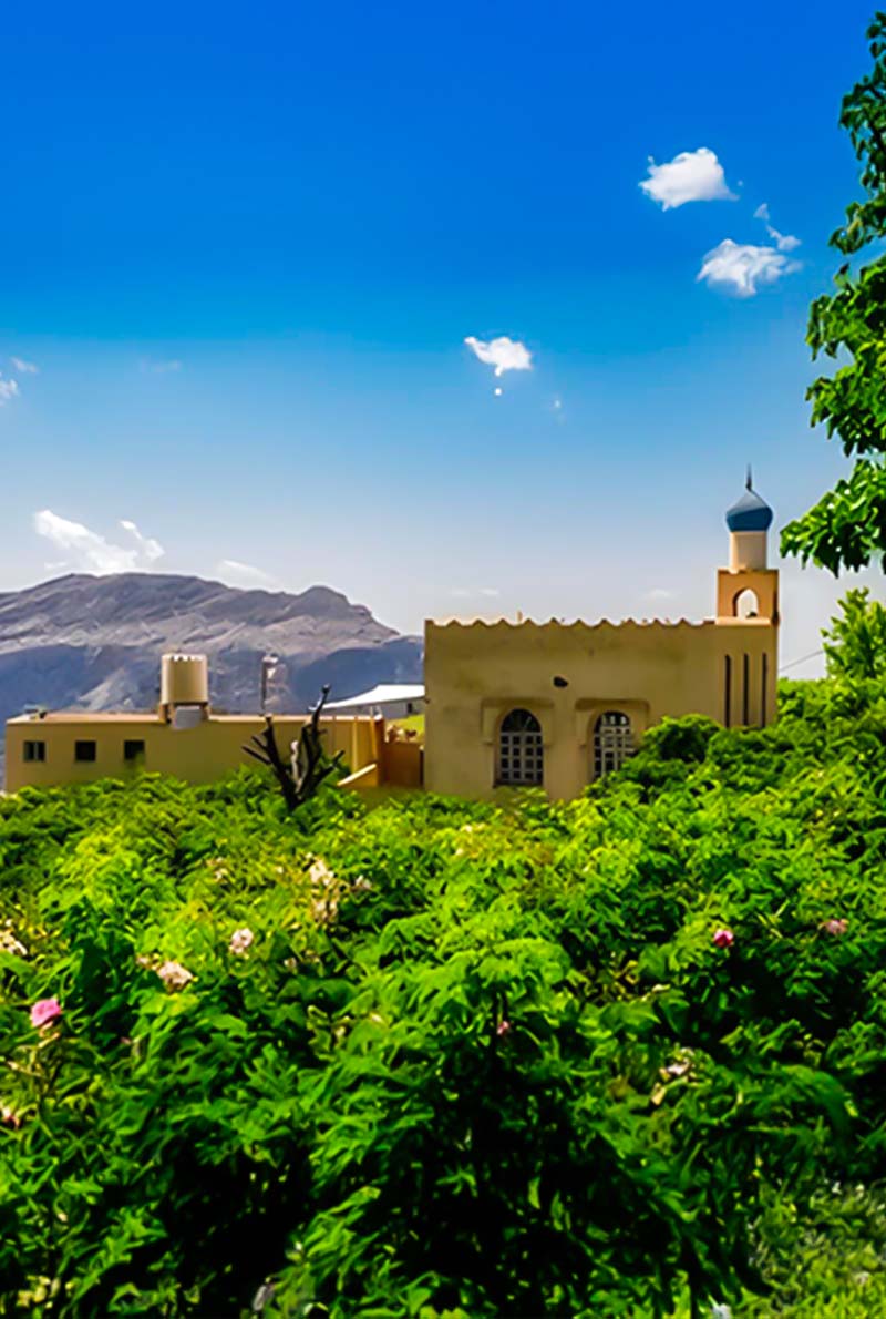 2-Day Jabal Akhdar & Nizwa Heritage Tour from Dubai