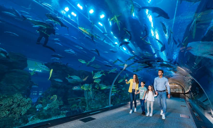 Aquarium Tunnel 