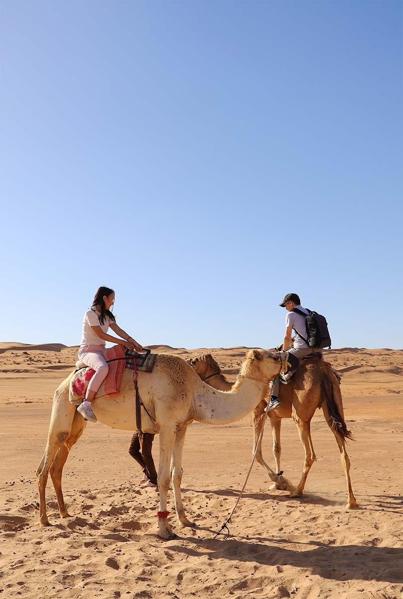 Dubai 3-Night Holiday Package – City Tour, Desert Safari & Cruise