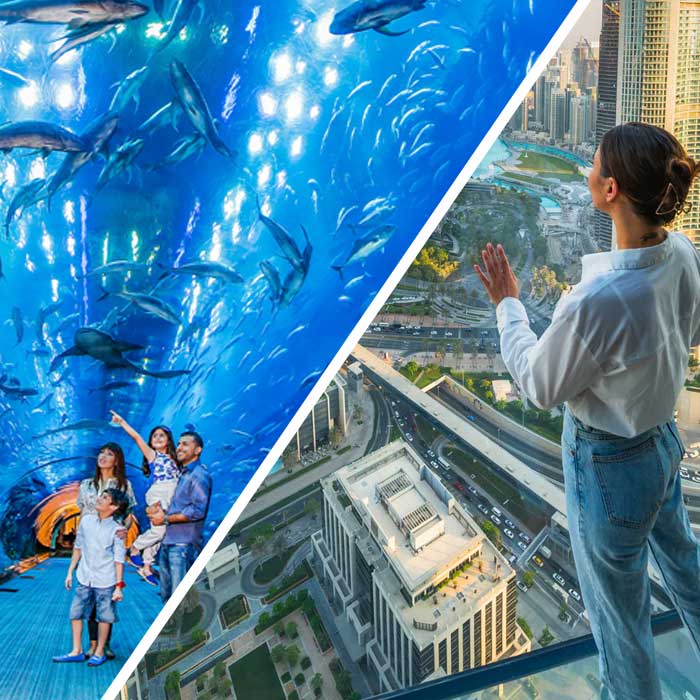 Dubai Aquarium + Sky Views Observatory