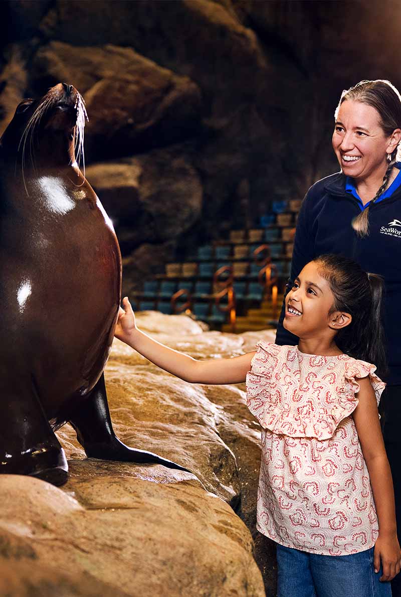 SeaWorld Abu Dhabi