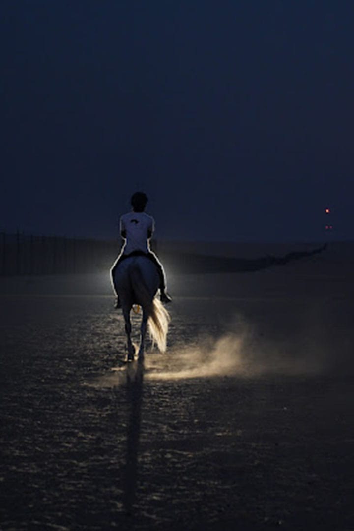 SQ7 Stables , Horse Riding Dubai