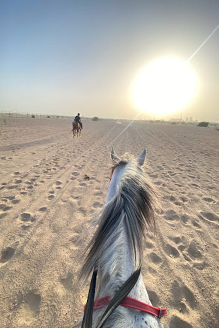 SQ7 Stables , Horse Riding Dubai