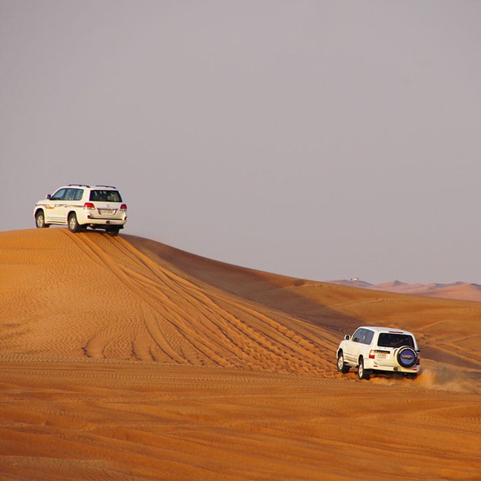 Adventure Desert Safari Dubai