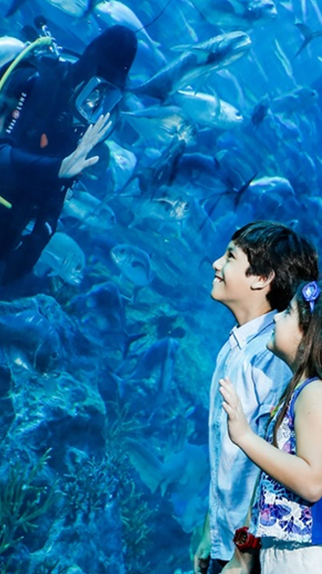 Wild Wadi Park + Dubai Aquarium' Combo